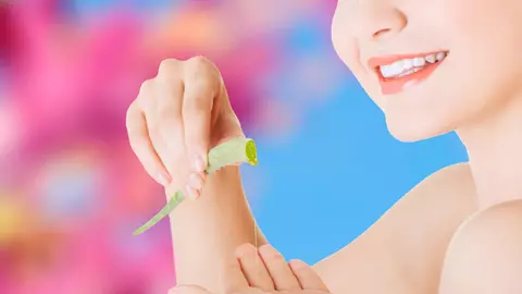 Ce să știi despre Aloe vera 