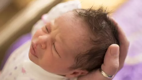 Al patrulea trimestru de sarcină