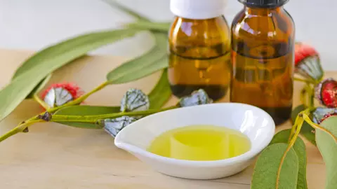 Ce tratezi cu ulei de eucalipt