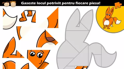 Gaseste locul potrivit pentru fiecare piesa