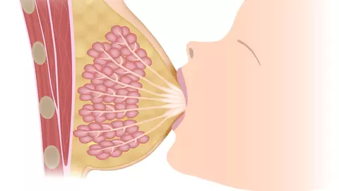 Atasarea corecta la san a bebelusului