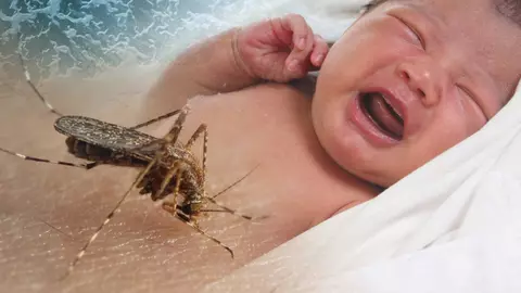 Cum prepari in casa un spray anti-tantari pentru pielea bebelusilor