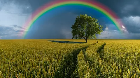Ce este curcubeul? Tot ce trebuie să știi despre această superbă manifestare a naturii