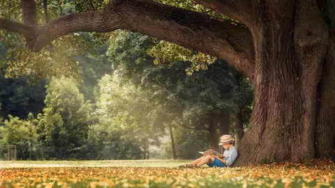 Amintiri din copilărie, de Ion Creangă. Partea a II-a