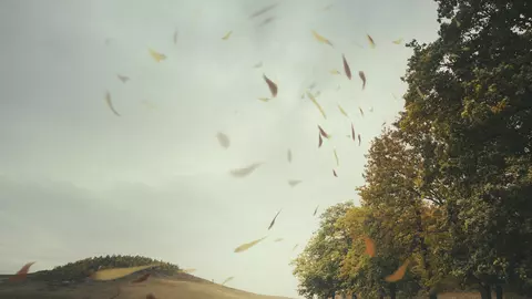 Tornada, vântul, furtuna - Când apar și cum se formează aceste fenomene