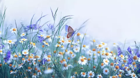 Rapsodii de primăvară. Poezii de George Topârceanu