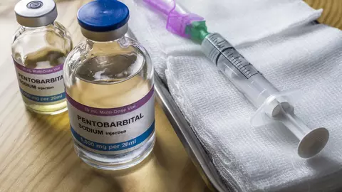 Olanda legalizează eutanasierea copiilor incurabili mai mici de 12 ani