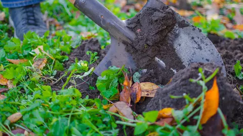 O femeie din Suceava a fost condamnată la 15 ani de închisoare pentru că și-a ucis trei copii nou-născuți