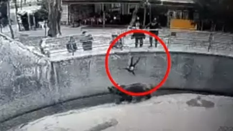 [Video] O femeie și-a aruncat copilul în țarcul unui urs la o Grădină Zoologică