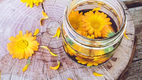 Proprietățile gălbenelelor și cum pot fi acestea utilizate