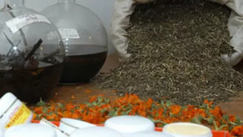 Remedii naturiste in sarcina