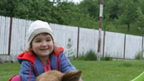 Animalul potrivit pentru copilul tau