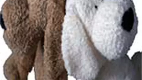 Baiat sau fata? Afla ce sex va avea copilul tau.