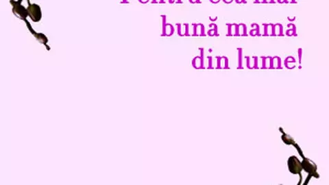 Pentru cea mai buna...