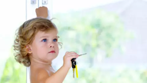 Cheia la gat este pe cale de disparitie