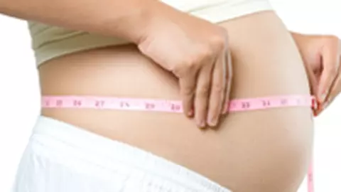 Modificarile organismului matern in sarcina