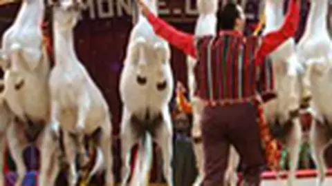 Festivalul International de Arta a Circului