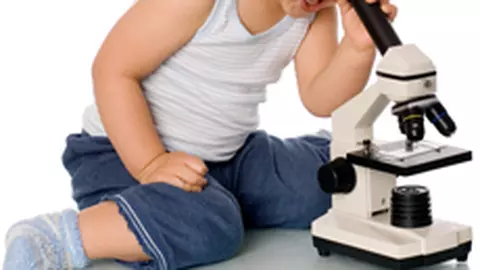 Celulele stem, o speranta reala sau o poveste SF?