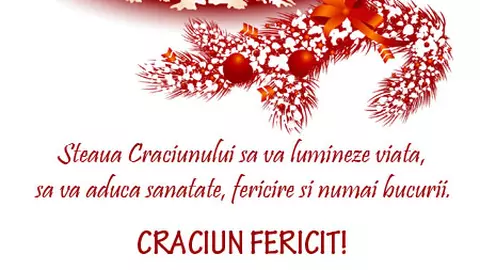 Steaua Craciunului...