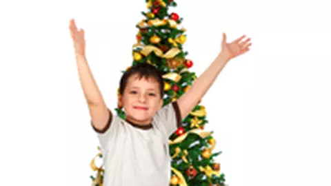 Simbolurile Craciunului