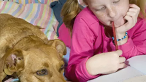 Temele pentru acasa, o corvoada?