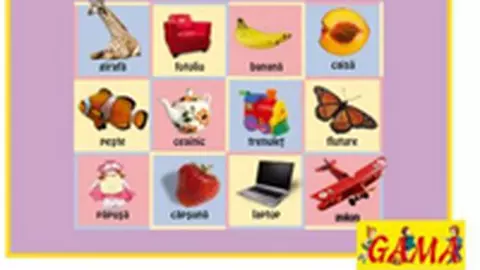 Primele 100 de cuvinte (carte)