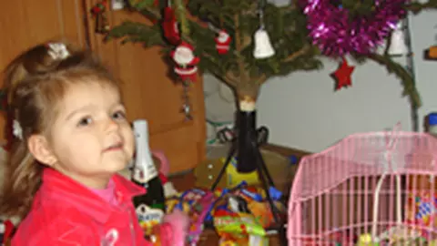 Mada si papagalul Paco