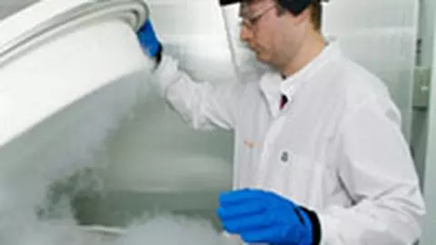 Prima banca de celule stem cu depozitare exclusiv in Romania