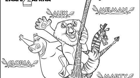 Madagascar - animale