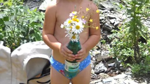 Purecii, bata-i vina!