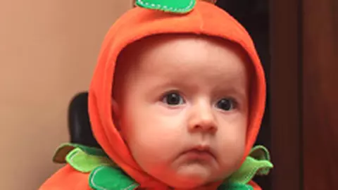 Povestea Iepurasului de catifea