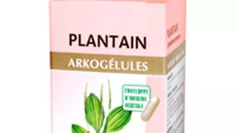 Plantain, pentru ameliorarea alergiilor
