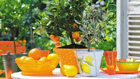 8 beneficii intr-o portocala