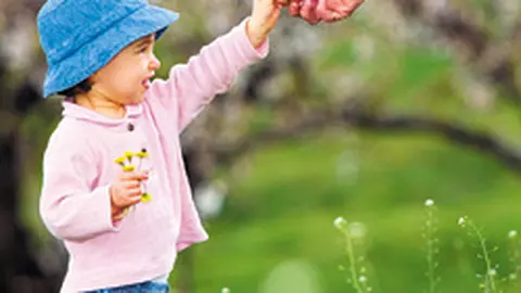 Drepturile parintilor