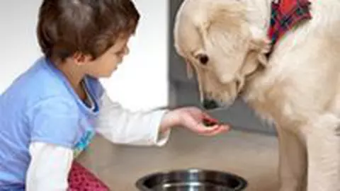 Ingrijirea animalelor de companie, pe intelesul elevilor de clasa a doua