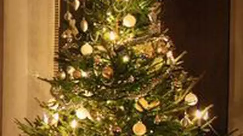 Ce semnificatie au bradul si ornamentele de Craciun