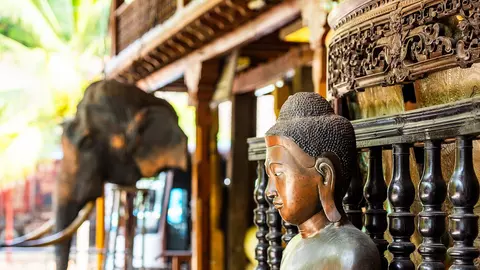 Ayurveda... pentru minte, trup si suflet