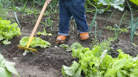 Să-i învăţăm pe cei mici să planteze!