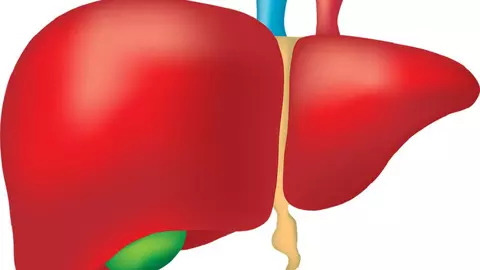 Afectiunile hepatice de la A la E