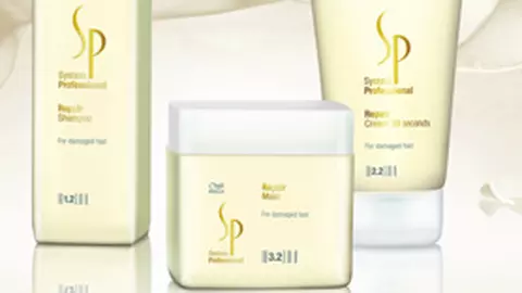 SP Repair Line - Parul respira aer de primavara