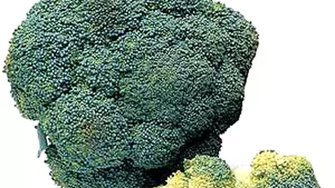 Broccoli