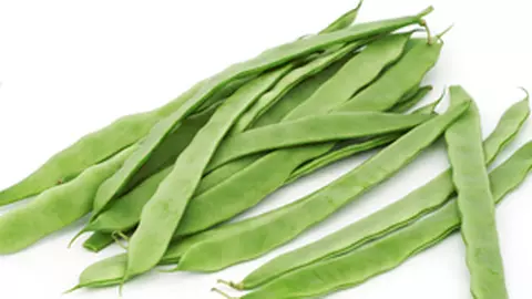 Fasolea verde
