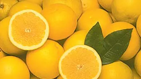 Grapefruitul