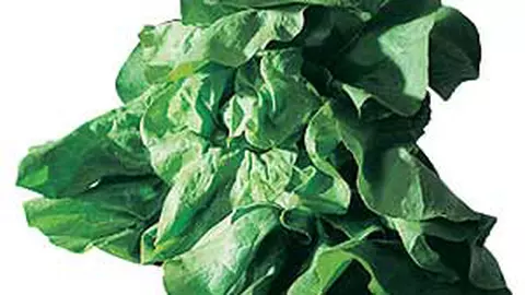 Salata