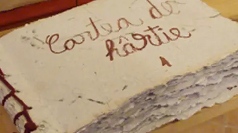 Scolile de vara