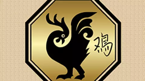 Compatibilitati in zodiacul chinezesc - Cocos