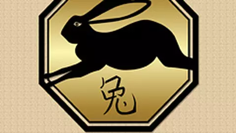 Compatibilitati in zodiacul chinezesc - Iepure