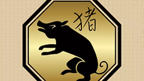 Compatibilitati in zodiacul chinezesc - Porc (Mistret)