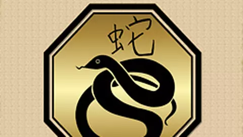 Compatibilitati in zodiacul chinezesc – Sarpe