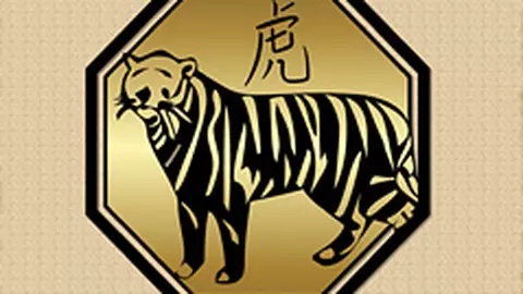 Compatibilitati in zodiacul chinezesc - Tigru